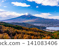 [Yamanashi Prefecture] Larch trees in autumn colors and Mount Fuji 141083406