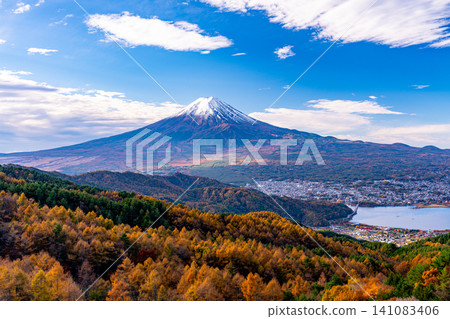 [Yamanashi Prefecture] Larch trees in autumn colors and Mount Fuji 141083406