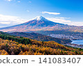 [Yamanashi Prefecture] Larch trees in autumn colors and Mount Fuji 141083407