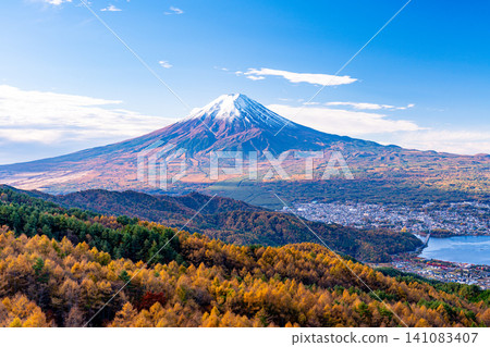 [Yamanashi Prefecture] Larch trees in autumn colors and Mount Fuji 141083407
