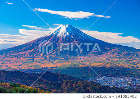 [Yamanashi Prefecture] Larch trees in autumn colors and Mount Fuji 141083408