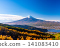 [Yamanashi Prefecture] Larch trees in autumn colors and Mount Fuji 141083410