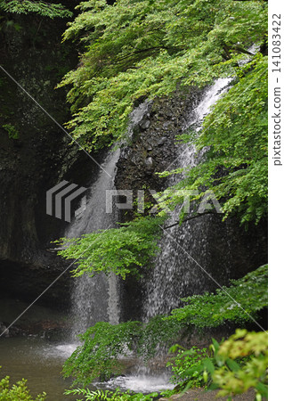 A magnificent waterfall enveloped in fresh greenery: Tsukimachi Falls in Daigo Town, Ibaraki Prefecture, showcases refreshing water flow and the beautiful natural scenery of lush greenery. A magnificent waterfall enveloped in fresh greenery: Tsukimachi Falls in Daigo Town, Ibaraki Prefecture, showcases refreshing water flow and the beautiful natural scenery of lush greenery. 141083422