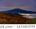 [Yamanashi Prefecture] Larch trees in autumn colors and a sea of clouds over Mt. Fuji at night 141083599