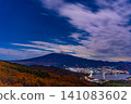 [Yamanashi Prefecture] Larch trees in autumn colors and a sea of clouds over Mt. Fuji at night 141083602