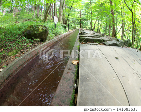 A stream and walking path flowing through the greenery A stream and walking path flowing through the greenery 141083635