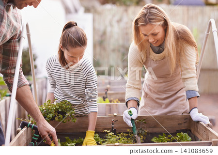 Happy family, gardening and plants in backyard of home for organic growth, sustainability and agriculture. Parents, girl child and smile in garden for learning, vegetable boxes and eco friendly hobby Happy family, gardening and plants in backyard of home for organic growth, sustainability and agriculture. Parents, girl child and smile in garden for learning, vegetable boxes and eco friendly hobby 141083659
