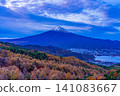[Yamanashi Prefecture] Larch trees in autumn colors and Mt. Fuji at dawn 141083667