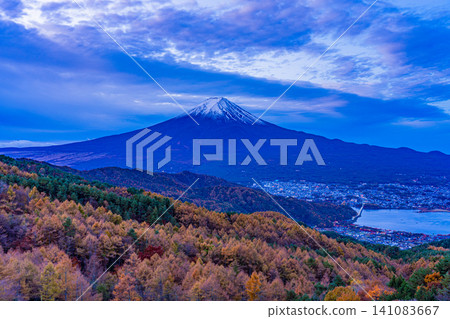 [Yamanashi Prefecture] Larch trees in autumn colors and Mt. Fuji at dawn 141083667