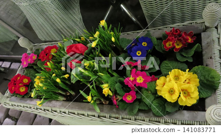 Vibrant Spring Floral Display in Wicker Planter Vibrant Spring Floral Display in Wicker Planter 141083771