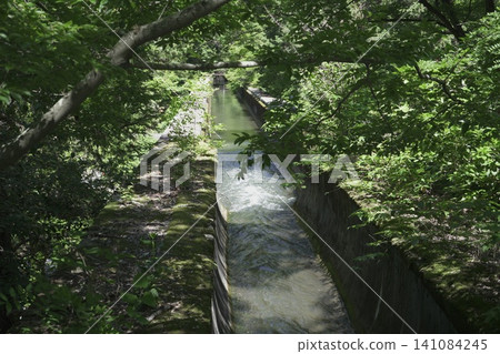 Beautiful scenery around Nanzenji Temple and the Suirakaku aqueduct in Kyoto 141084245