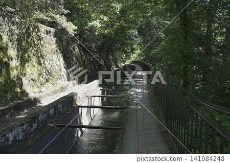 京都南禪寺和水閣周圍的景色非常美麗 京都南禪寺和水閣周圍的景色非常美麗 141084248