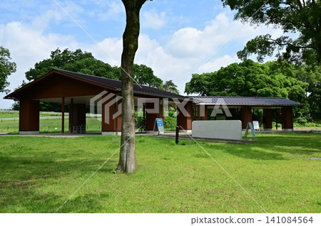 花之公園高南的新區域以當地森林為主題。 141084564
