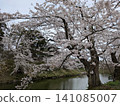 Beautiful cherry blossoms at Hirosaki Castle 141085007