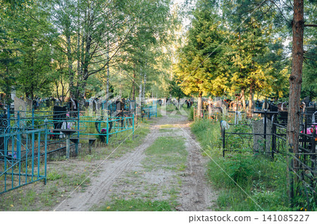 Narrow earthen path running between rows of old graves and tall trees in a traditional quiet village cemetery 141085227