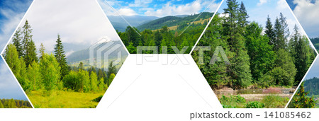 Mountain Forest Landscape Photo Collage in Hexagonal Frames Beautiful Summer Nature Collage with Coniferous Trees and Hills 141085462