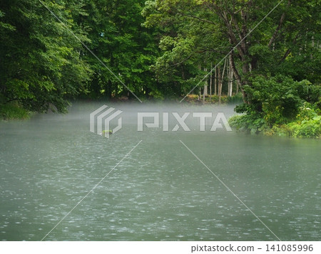 Mossed rocks and mist floating on a rainy pond Mossed rocks and mist floating on a rainy pond 141085996