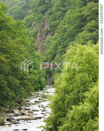 夏日蔥鬱的定山溪谷與紅橋 夏日蔥鬱的定山溪谷與紅橋 141085997