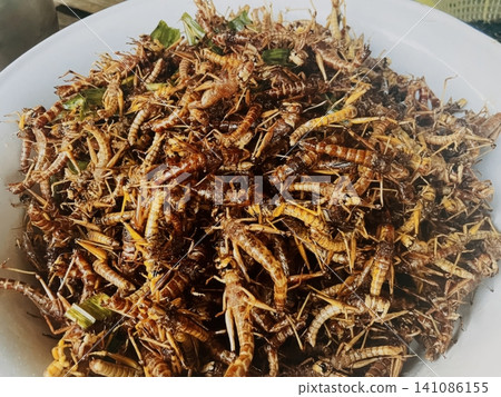 Fried Grasshoppers Crispy Insect Snack Thai Street Food Market Fried Grasshoppers Crispy Insect Snack Thai Street Food Market 141086155