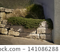 Stone retaining wall with green plants and shrubs. 141086288