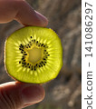 Hand holding translucent kiwi slice in sun. 141086297