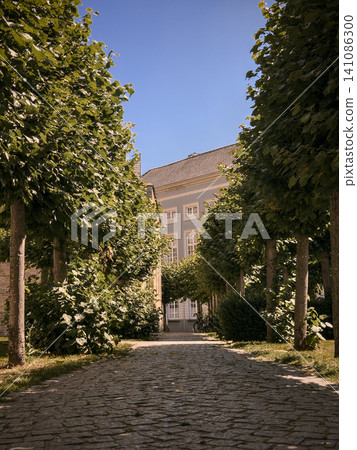 Cobblestone Path Lined with Green Trees Leading to a Building Cobblestone Path Lined with Green Trees Leading to a Building 141086300