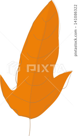 autumn leaf isolated on white background 141086322