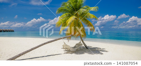 Gorgeous tropical beach, lone palm tree, turquoise lagoon, powdery white sand. Sunny summer island paradise, exotic vacation escape. Relaxing travel destination background wallpaper scene 141087054
