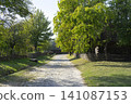 Rural dirt road lined with trees leading to traditional peasant homes in the countryside 141087153