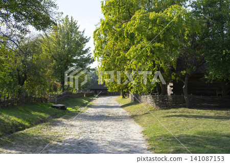 Rural dirt road lined with trees leading to traditional peasant homes in the countryside Rural dirt road lined with trees leading to traditional peasant homes in the countryside 141087153