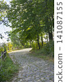 Rural dirt road winding through lush countryside and trees in a peaceful setting 141087155