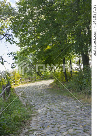 Rural dirt road winding through lush countryside and trees in a peaceful setting Rural dirt road winding through lush countryside and trees in a peaceful setting 141087155