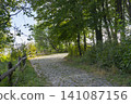 Dirt road winding through a rural area with lush green trees and peaceful surroundings 141087156