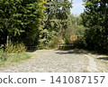 Dirt road winding through rural landscape with trees and greenery in peaceful surroundings 141087157