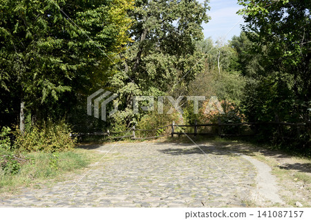 Dirt road winding through rural landscape with trees and greenery in peaceful surroundings Dirt road winding through rural landscape with trees and greenery in peaceful surroundings 141087157