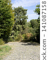 Enhanced dirt road winds through lush green trees in a rural landscape under bright blue sky 141087158