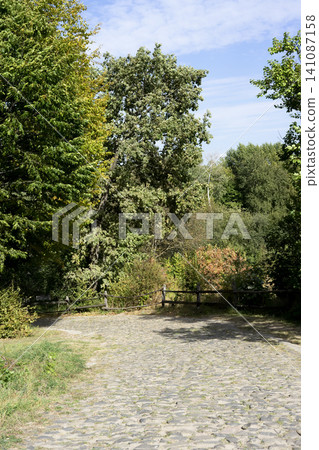 Enhanced dirt road winds through lush green trees in a rural landscape under bright blue sky Enhanced dirt road winds through lush green trees in a rural landscape under bright blue sky 141087158