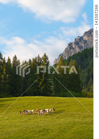 Cows on a green meadow below rocky mountains, highlighting the layered structure and natural beauty of alpine landscapes. Cows on a green meadow below rocky mountains, highlighting the layered structure and natural beauty of alpine landscapes. 141087266