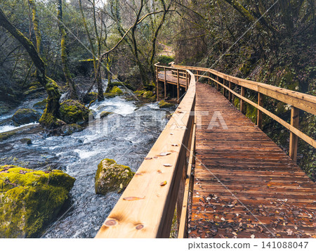 Wooden boardwalk along a scenic forest stream with moss-covered rocks and trees, creating a serene and picturesque nature trail in Pindelo, Outeiro, Oliveira de Azemeis, Portugal Wooden boardwalk along a scenic forest stream with moss-covered rocks and trees, creating a serene and picturesque nature trail in Pindelo, Outeiro, Oliveira de Azemeis, Portugal 141088047