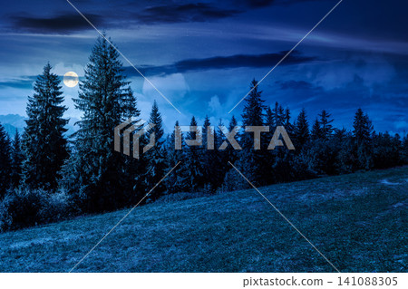 mysterious landscape with coniferous forest in summer at night. fantasy view of mountain landscape in poland. full moon over scenic spruce trees on a grassy alpine meadow. dark sky above the ridge mysterious landscape with coniferous forest in summer at night. fantasy view of mountain landscape in poland. full moon over scenic spruce trees on a grassy alpine meadow. dark sky above the ridge 141088305
