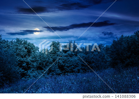 deciduous beech forest near meadow under dramatic sky. nature scenery with tall grass near forest at sunset. carpathian beech forest of ukraine. wild field with grass and herbs deciduous beech forest near meadow under dramatic sky. nature scenery with tall grass near forest at sunset. carpathian beech forest of ukraine. wild field with grass and herbs 141088306