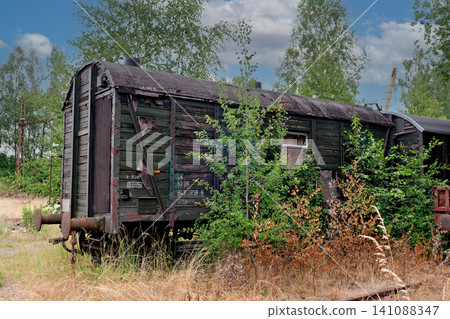 Decaying old wooden train carriage overgrown with bushes under cloudy sky Decaying old wooden train carriage overgrown with bushes under cloudy sky 141088347
