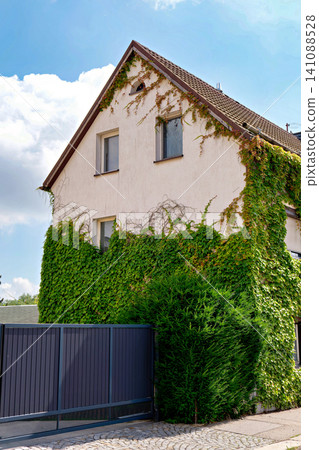 Residential house facade with green ivy plant climbing next to dark fence and bush Residential house facade with green ivy plant climbing next to dark fence and bush 141088528
