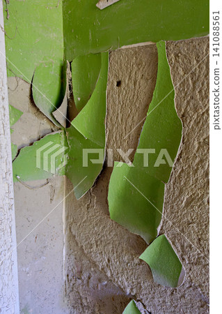 Large sheets of bright green paint peeling off an old room corner Large sheets of bright green paint peeling off an old room corner 141088561