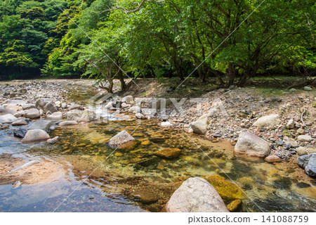 Miyazuma Gorge, a beautiful valley (Yokkaichi City, Mie Prefecture) Miyazuma Gorge, a beautiful valley (Yokkaichi City, Mie Prefecture) 141088759