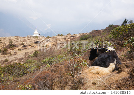 Nepal landscape in Khumjung village area, EBC Nepal landscape in Khumjung village area, EBC 141088815