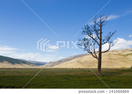 Landscape from Altai Tavan Bogd National Park, Mongolia Landscape from Altai Tavan Bogd National Park, Mongolia 141088869
