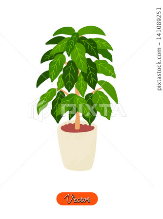 Potted coffee tree, watercolor-style hand-drawn vector illustration Potted coffee tree, watercolor-style hand-drawn vector illustration 141089251
