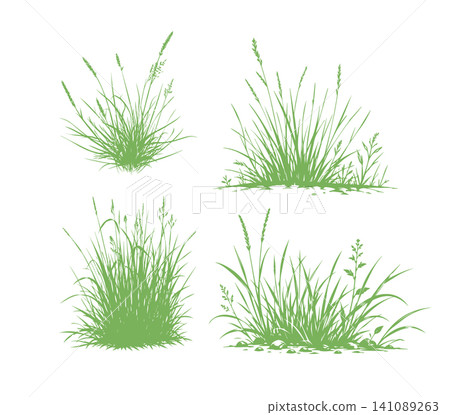 Grass green silhouette vector isolated on white background nature design illustration of grass plant pattern greenery artwork Hand drawn. Not AI, vector illustration. Grass green silhouette vector isolated on white background nature design illustration of grass plant pattern greenery artwork Hand drawn. Not AI, vector illustration. 141089263