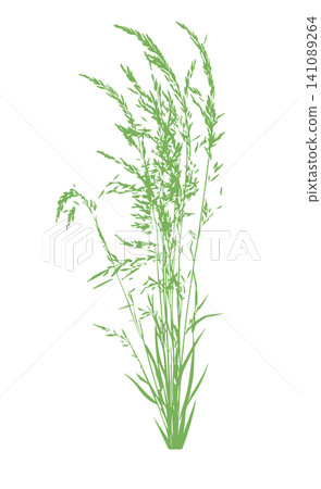 Grass green silhouette vector isolated on white background nature design illustration of grass plant pattern greenery artwork Hand drawn. Not AI, vector illustration. Grass green silhouette vector isolated on white background nature design illustration of grass plant pattern greenery artwork Hand drawn. Not AI, vector illustration. 141089264